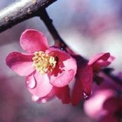 Brigitte Bauregger's photo