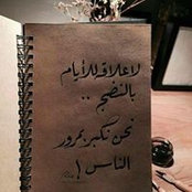 Rasha Soliman's photo
