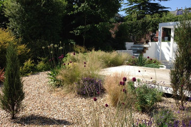 Design ideas for a mid-sized front yard full sun xeriscape in Dorset with gravel.
