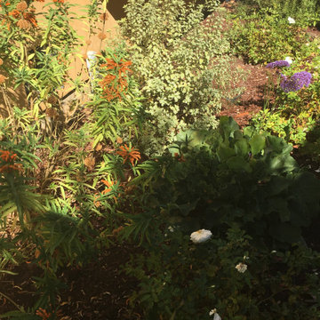 Los Gatos Cottage