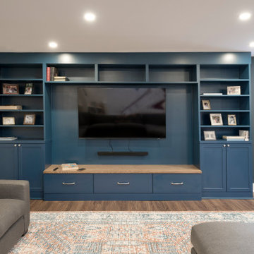 Family Friendly Basement in Mt Plesant
