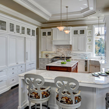 North Oakland County Home-Sophisticated Kitchen