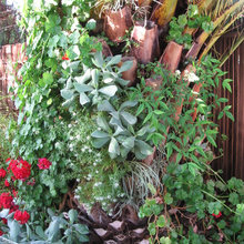 landscape ideas 2017