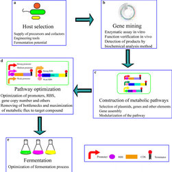 Recombinant ACAT-2 enzyme - Products