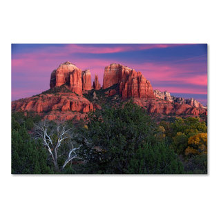 Designart - Parkland Trails Photography Canvas Art Print - Yellow - 40 in. Wide x 30 in. High