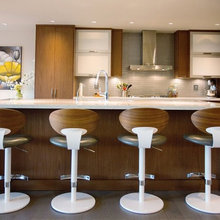 Pranil Kitchen Remodel