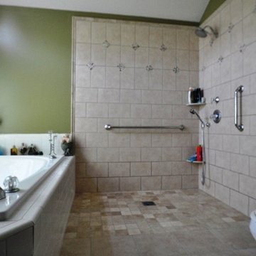 Level entry shower