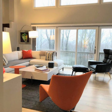 Mid-century Modern House