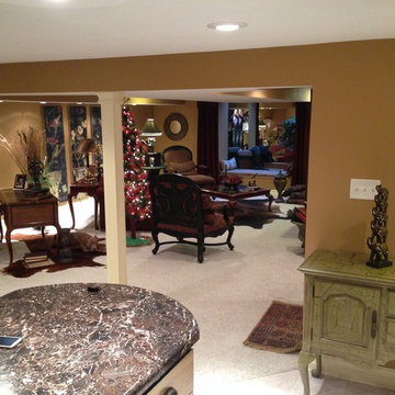 Finished Lower Level / Basement