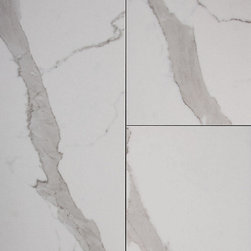 Avella Bianca Carrara Porcelain - Wall And Floor Tile