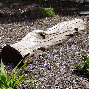 Primary School Nature Play