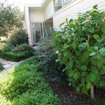 Landscape Revitalization-Update September 2016