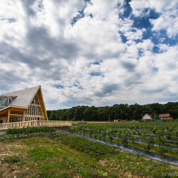 Luxurious Romanian Home