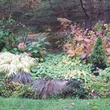 Catskill Mountain Project