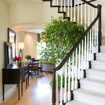 Staircase Design Ideas