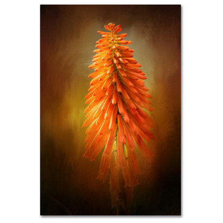 Jai Johnson 'Orange Blast In The Garden' Canvas Art, 24 x 16