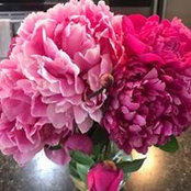 Lori Gicewicz's photo