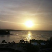 Anne Tourigny's photo