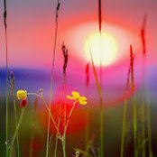 Karin Behrenz's photo