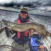 Kevin Millar's photo