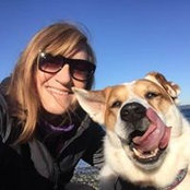 Kim Crowley's photo
