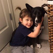 Jamie Schiffman's photo