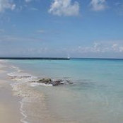 Sandra Mcrae's photo