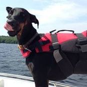 Kari Schmaling's photo