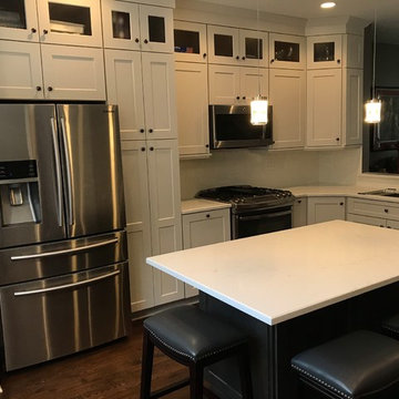 Chicago South Loop Kitchen Remodel