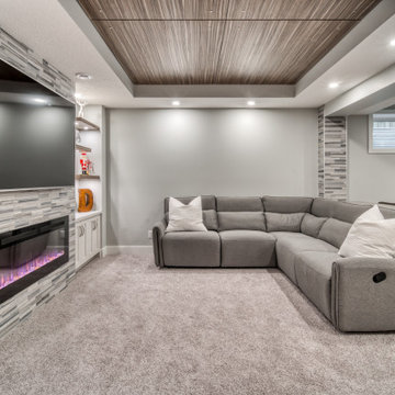 Aspen Basement Development