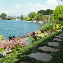 stepping stones