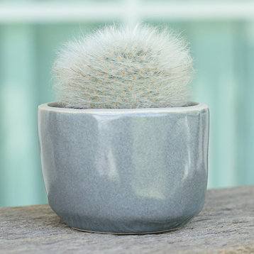 Novica Handmade Gray Bud Ceramic Flower Pot