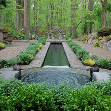 Koi Pond