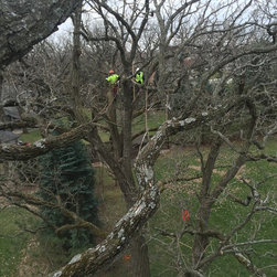 Tree Pruning/Maintenance - Products