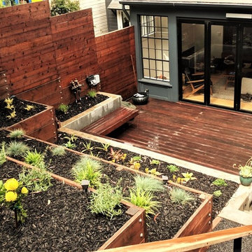 Low Voltage LED's Illuminate Drought Tolerant Planting