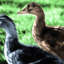 Foraging Ducks - Artwork