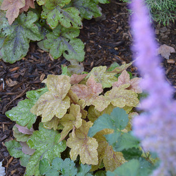 Plantings