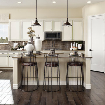 Delaney model home in Colorado