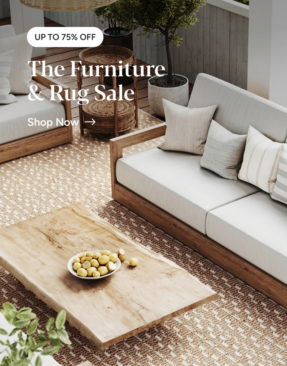 Shop Promo Banner