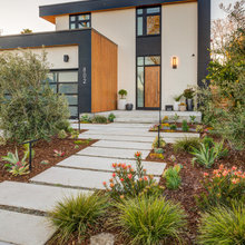 Landscape backyard