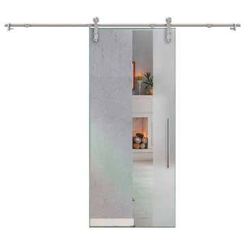 Modern Sliding Glass Barn Door V1000, 30"x81", T-Handle Bars