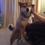 Mike Neate's photo