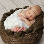 Steve Jarvis's photo