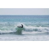 Bruno Goncalves's photo