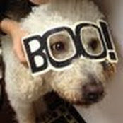 Todd Cantrell's photo