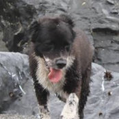 Wendy Hoffman's photo