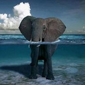 Foto von Kathya Collart