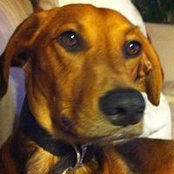 Annie Maynard's photo