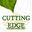 Cutting Edge Landscapes, Inc.