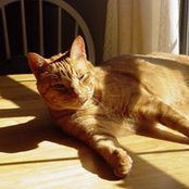 Stephen Barackman's photo